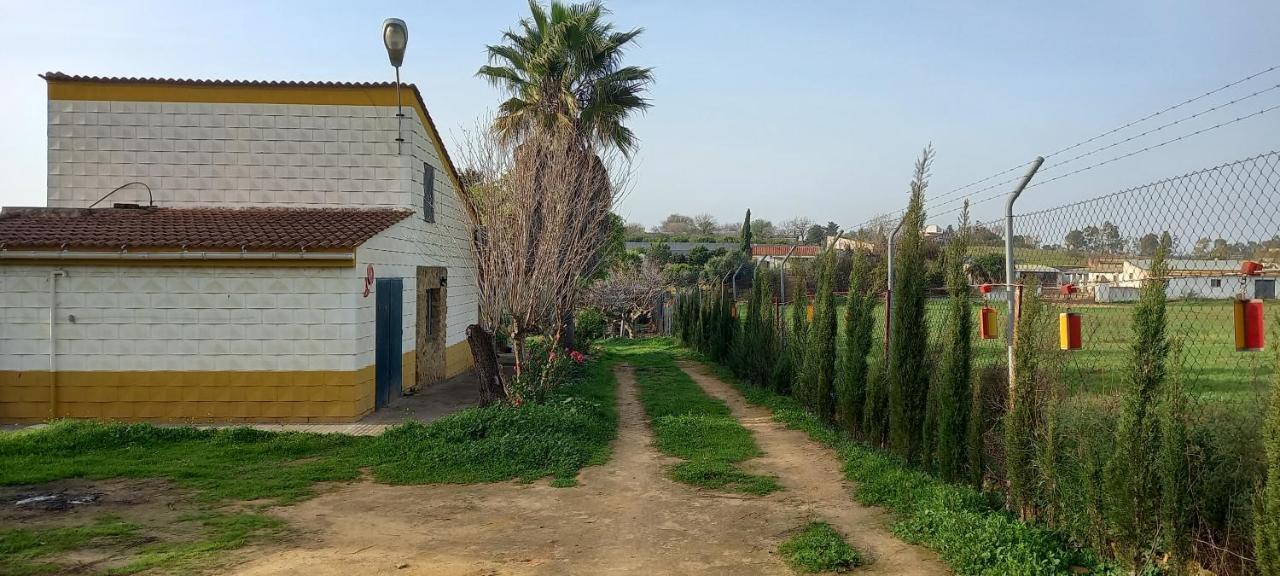 Villa Huerta El Genoves Carmona  Exterior foto